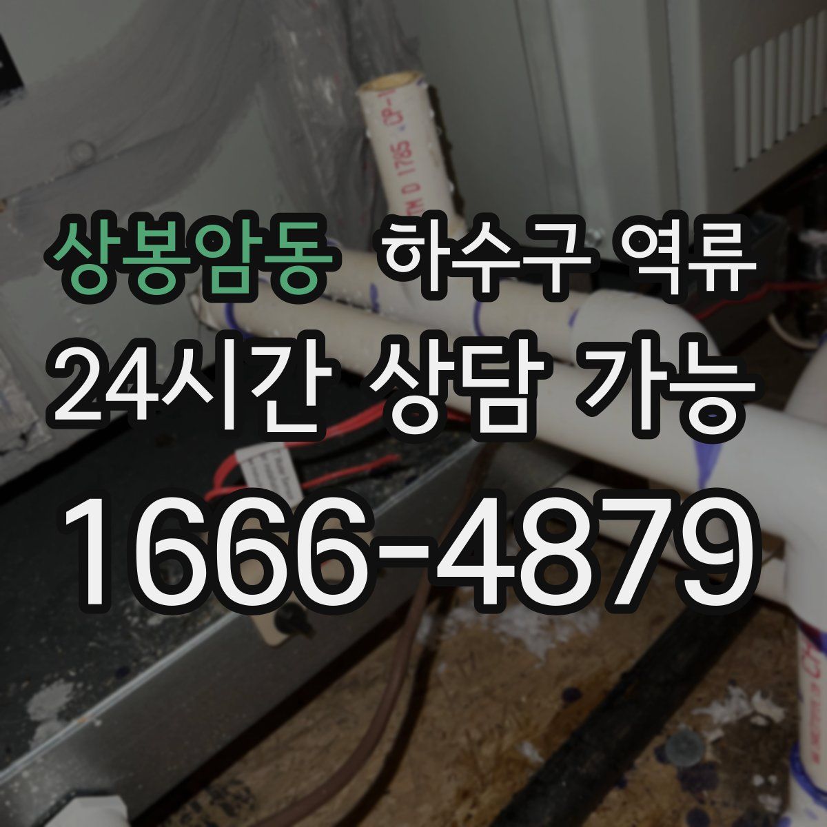 상봉암동 하수구 역류