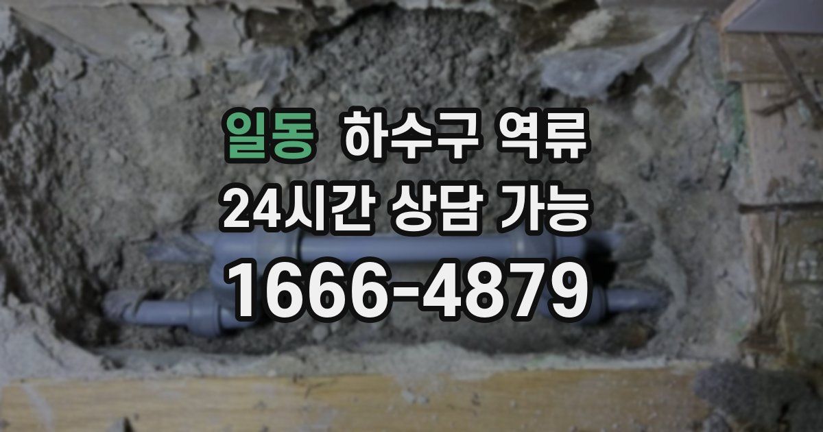 일동 하수구 역류