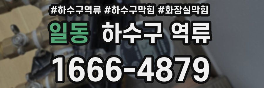 일동 하수구 역류