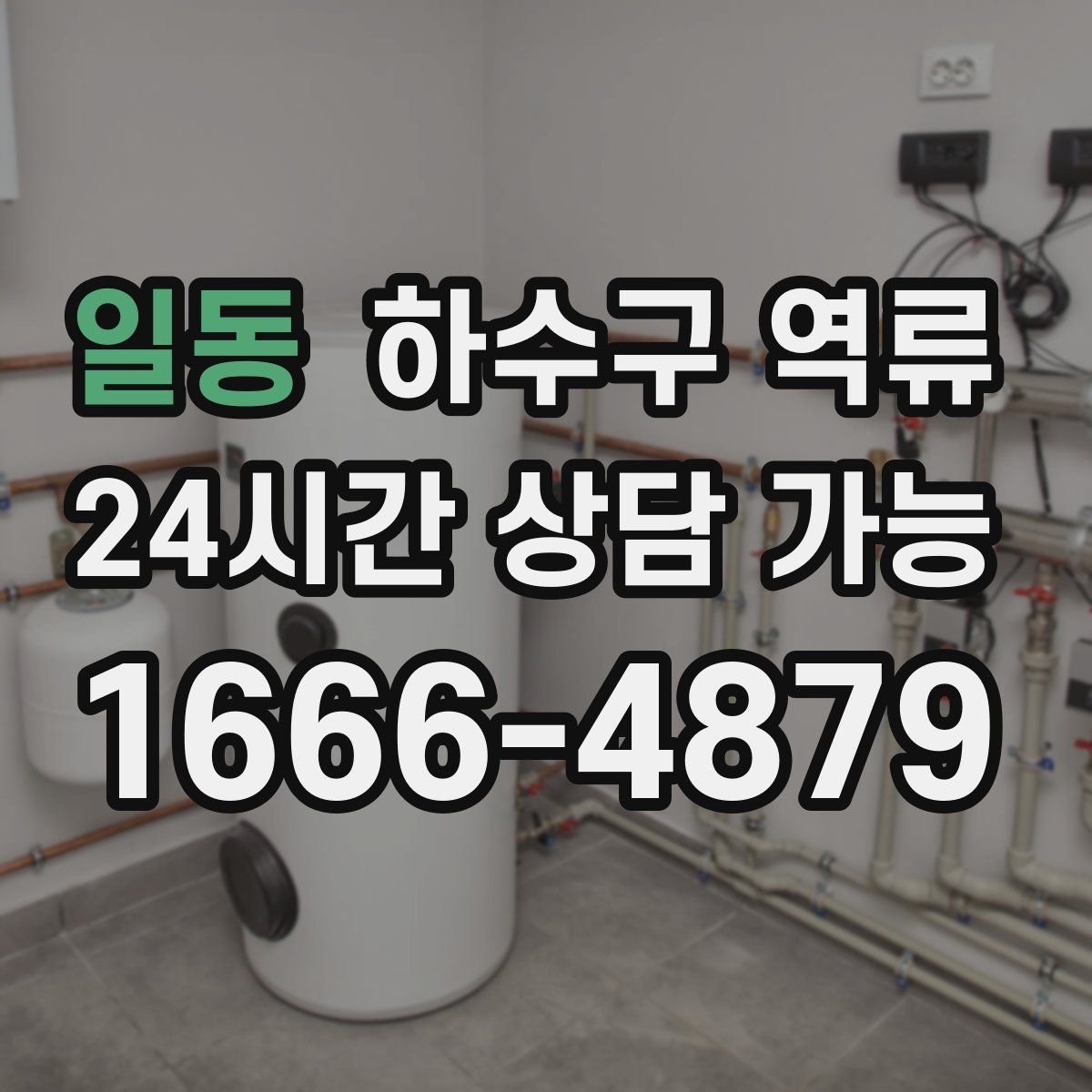 일동 하수구 역류