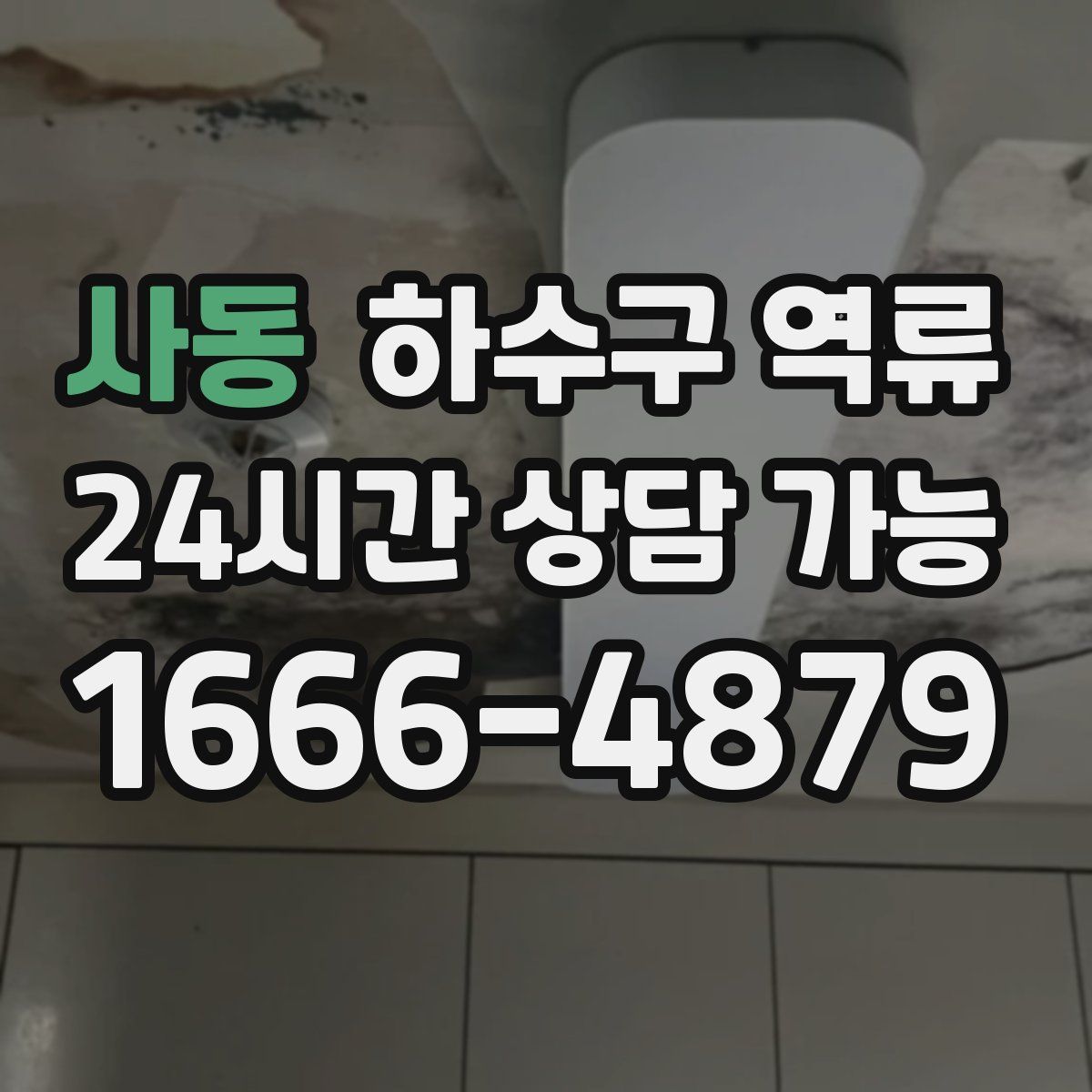 사동 하수구 역류