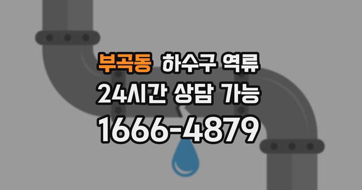 부곡동 하수구 역류