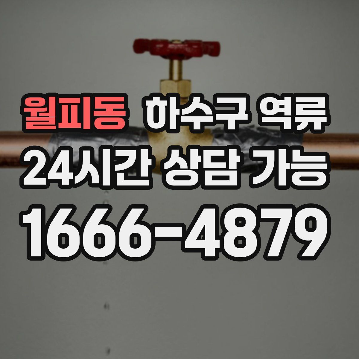월피동 하수구 역류