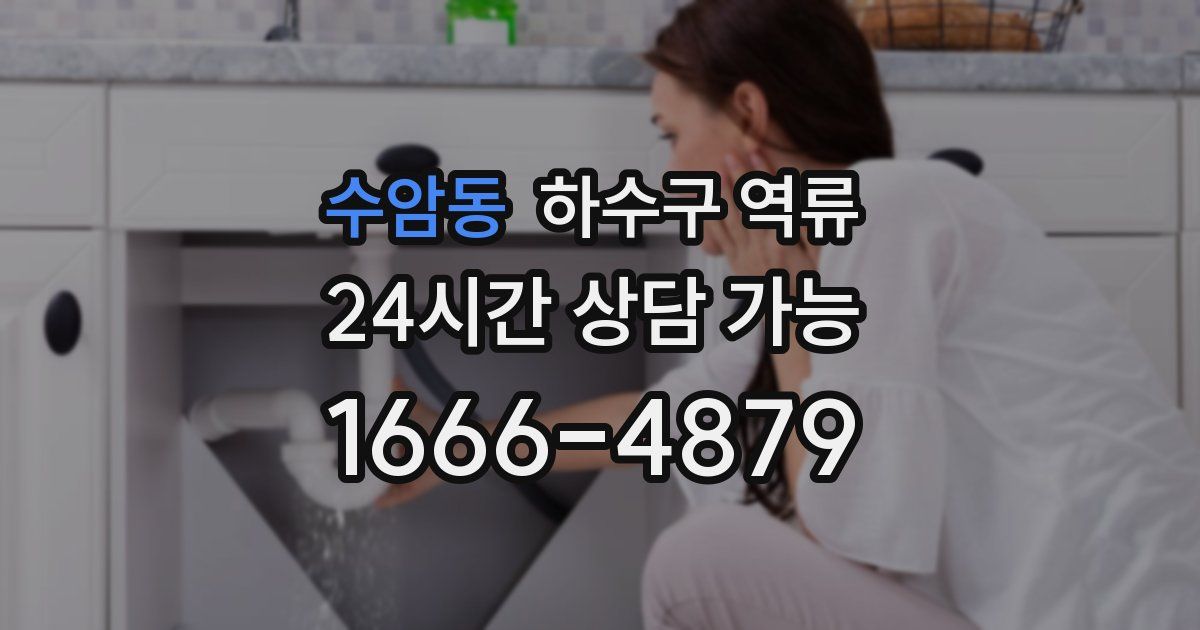 수암동 하수구 역류