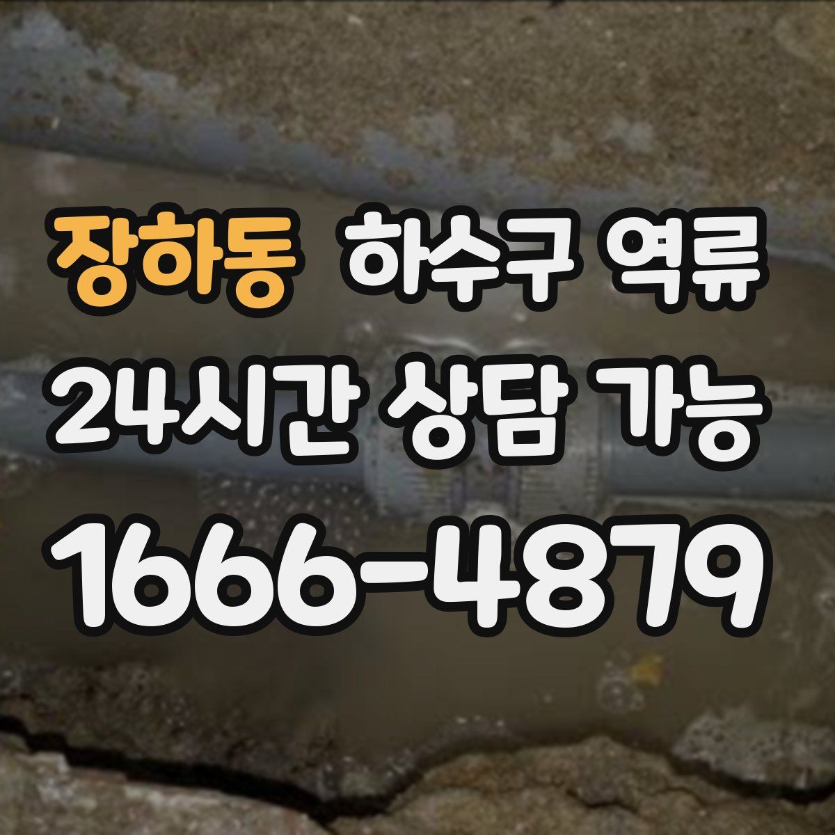 장하동 하수구 역류