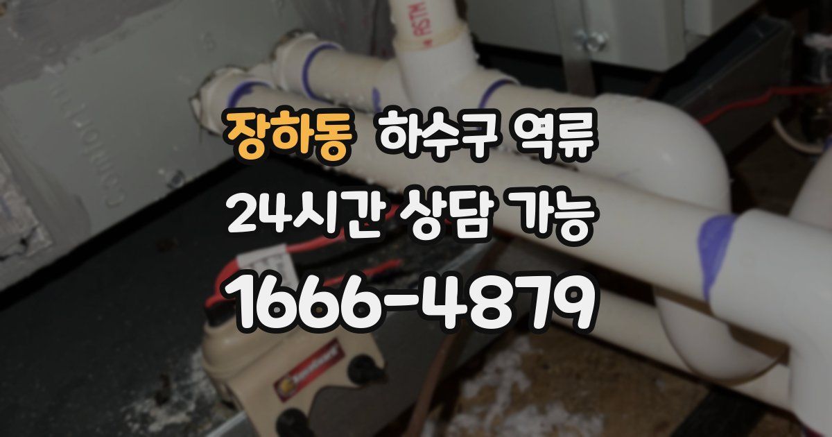 장하동 하수구 역류