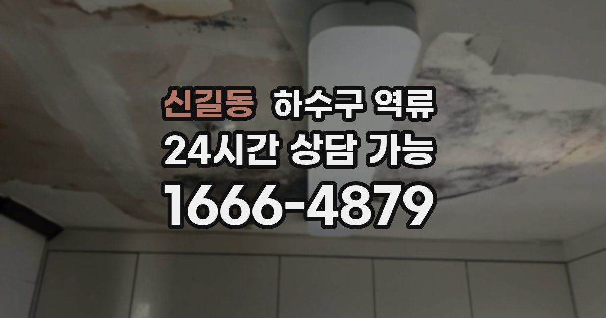 신길동 하수구 역류