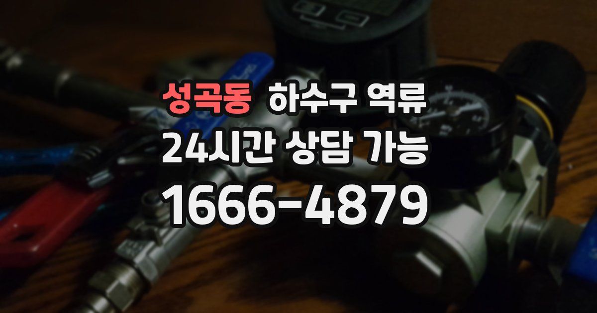 성곡동 하수구 역류