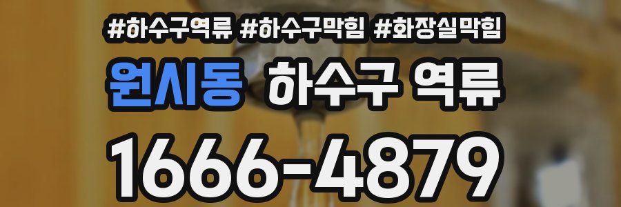 원시동 하수구 역류