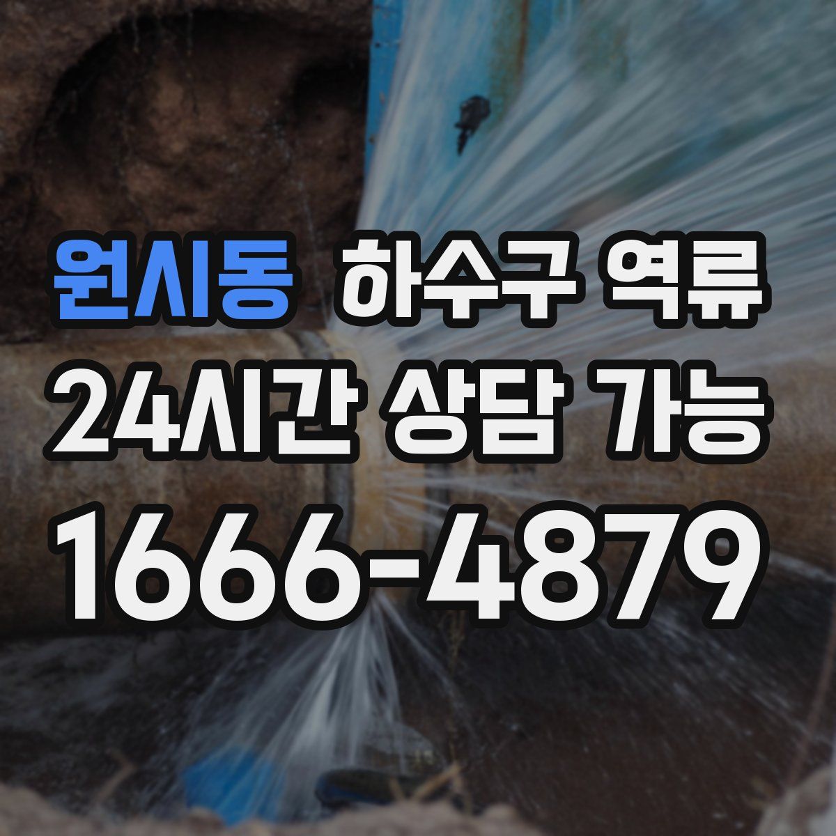 원시동 하수구 역류