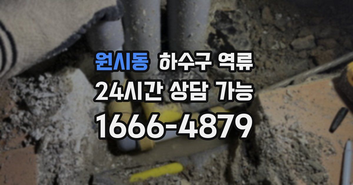 원시동 하수구 역류