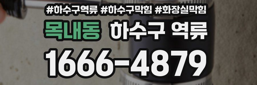 목내동 하수구 역류
