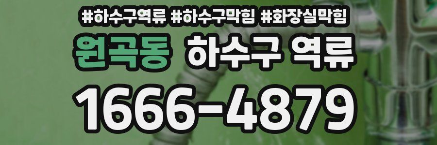 원곡동 하수구 역류