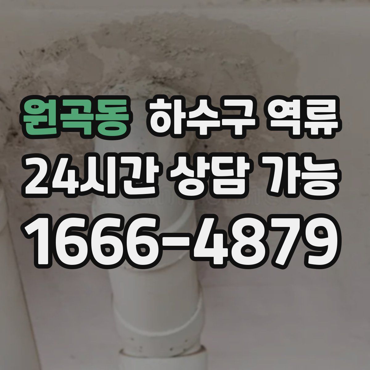 원곡동 하수구 역류