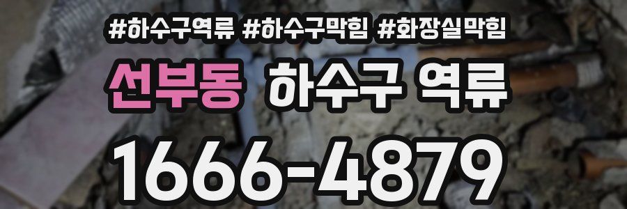 선부동 하수구 역류