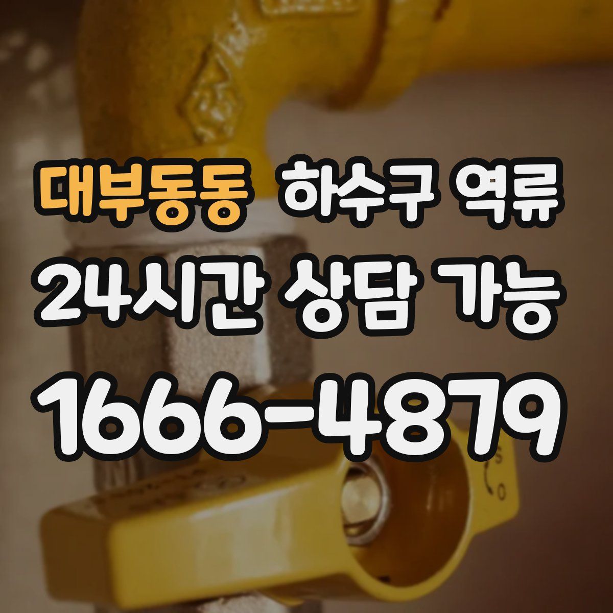 대부동동 하수구 역류