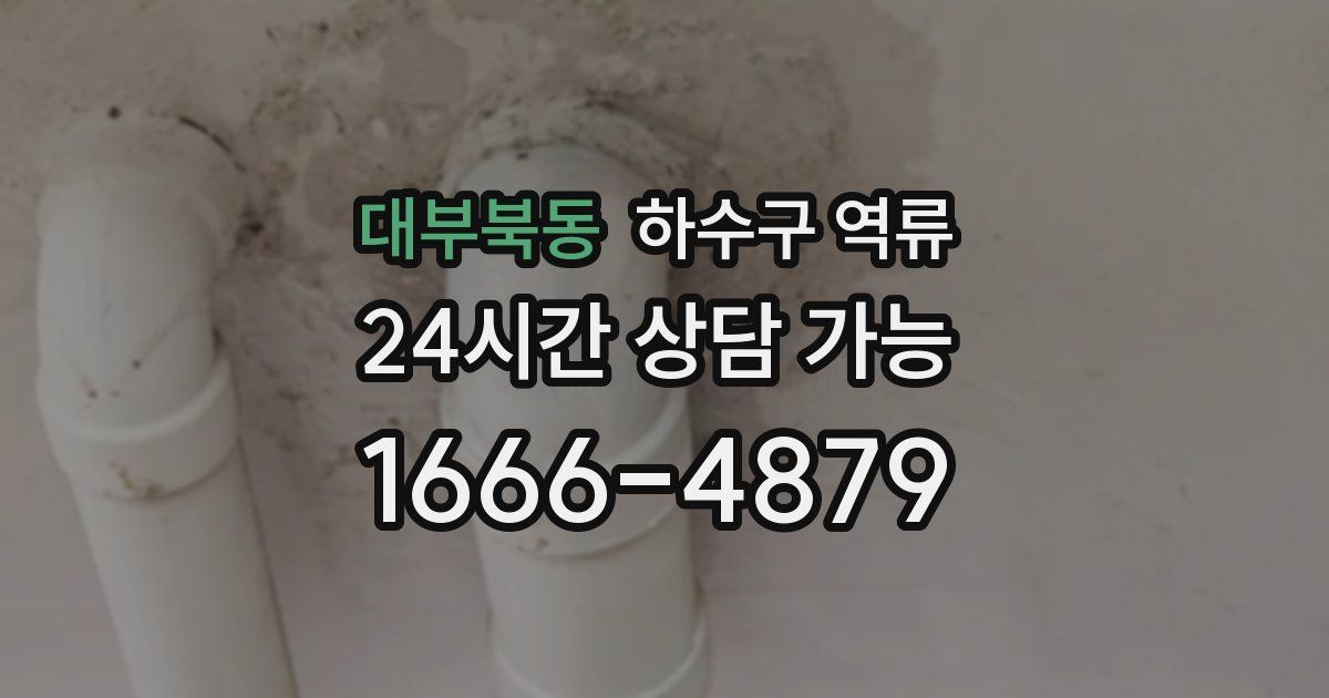 대부북동 하수구 역류