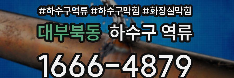 대부북동 하수구 역류