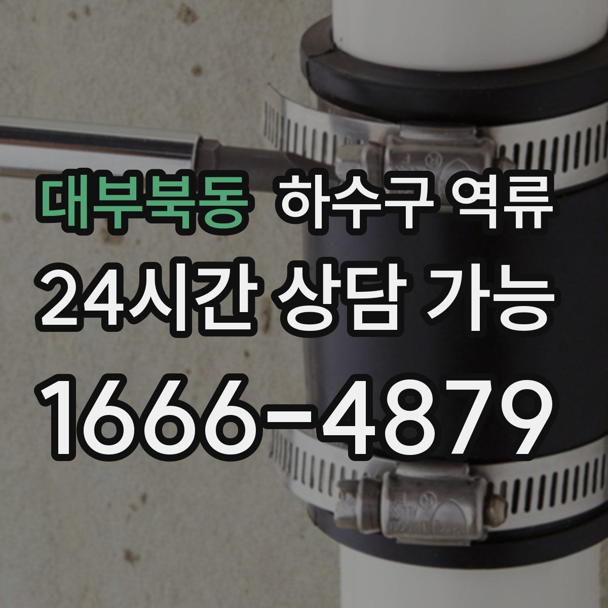 대부북동 하수구 역류