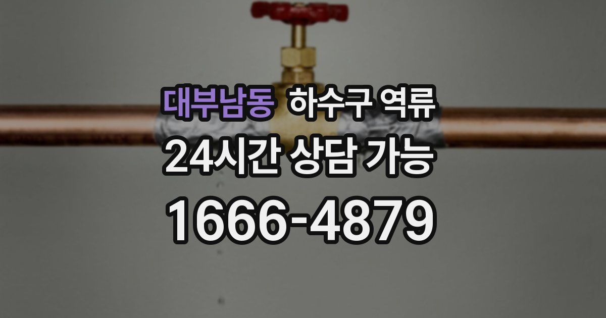 대부남동 하수구 역류