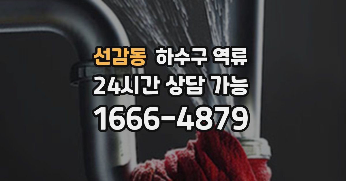 선감동 하수구 역류