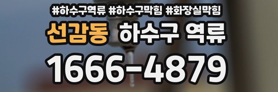 선감동 하수구 역류