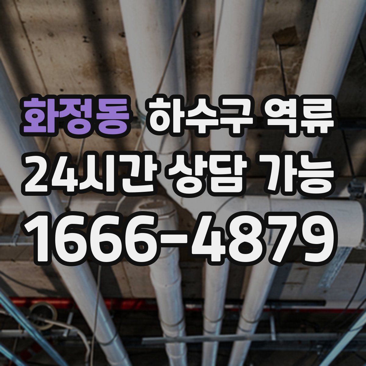 화정동 하수구 역류