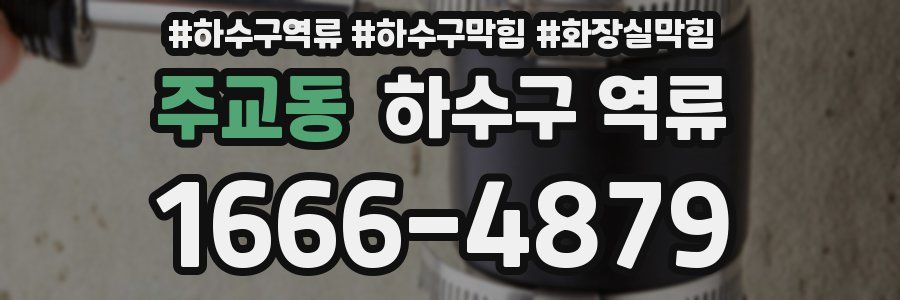 주교동 하수구 역류