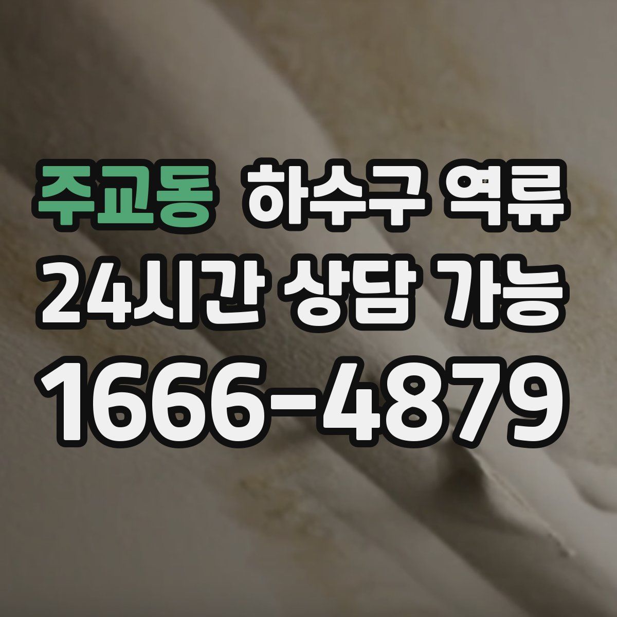 주교동 하수구 역류