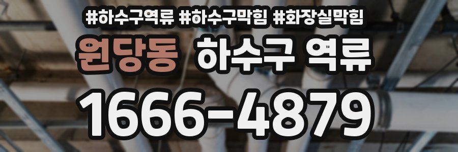 원당동 하수구 역류