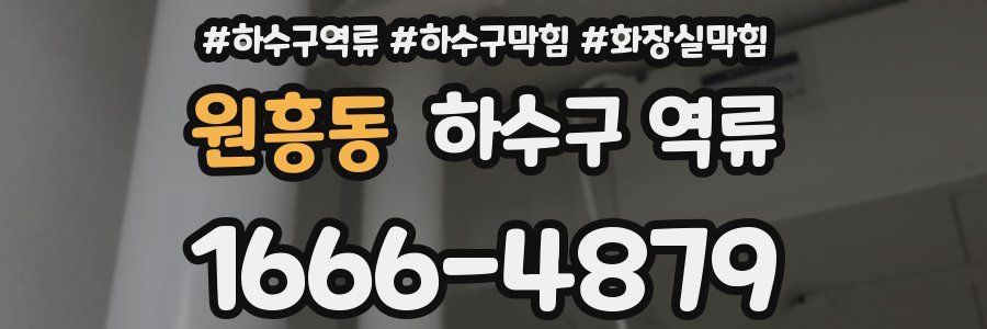 원흥동 하수구 역류