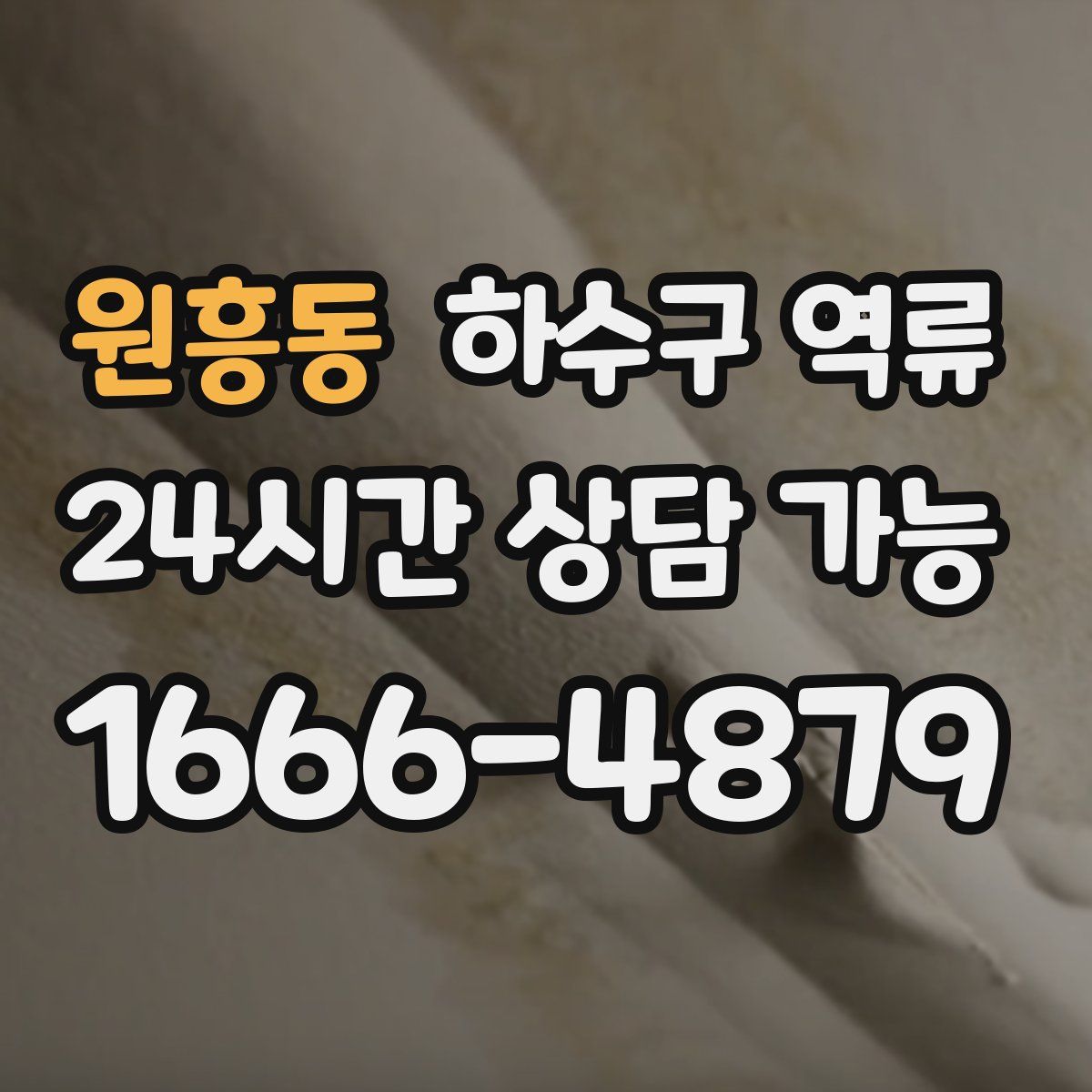 원흥동 하수구 역류