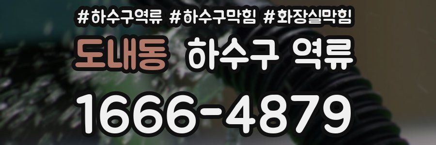 도내동 하수구 역류