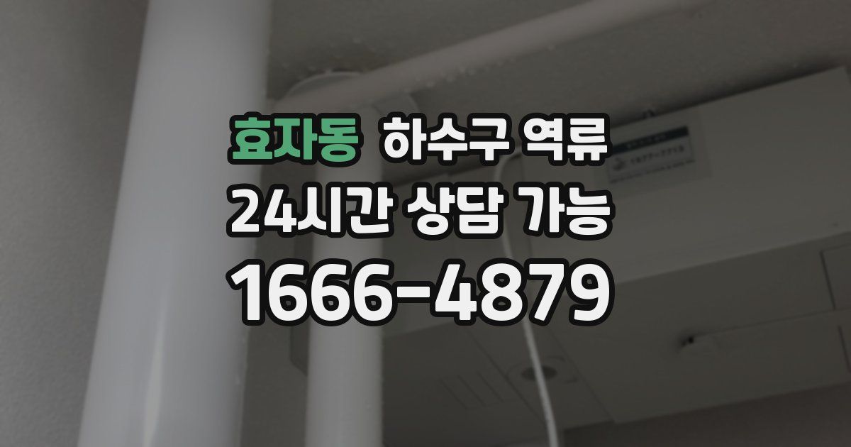 효자동 하수구 역류