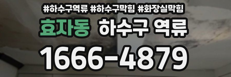 효자동 하수구 역류