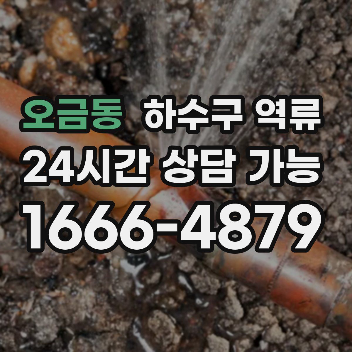 오금동 하수구 역류