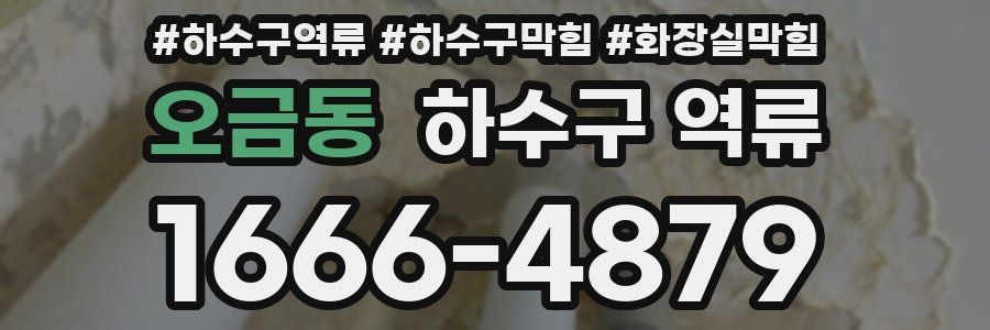 오금동 하수구 역류