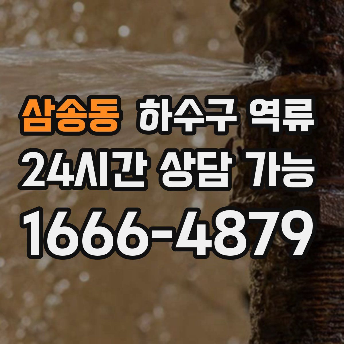 삼송동 하수구 역류