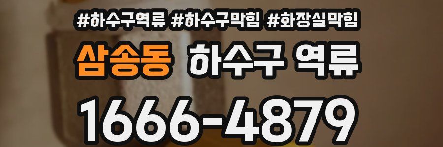 삼송동 하수구 역류