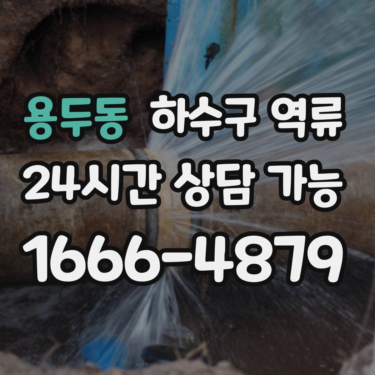 용두동 하수구 역류