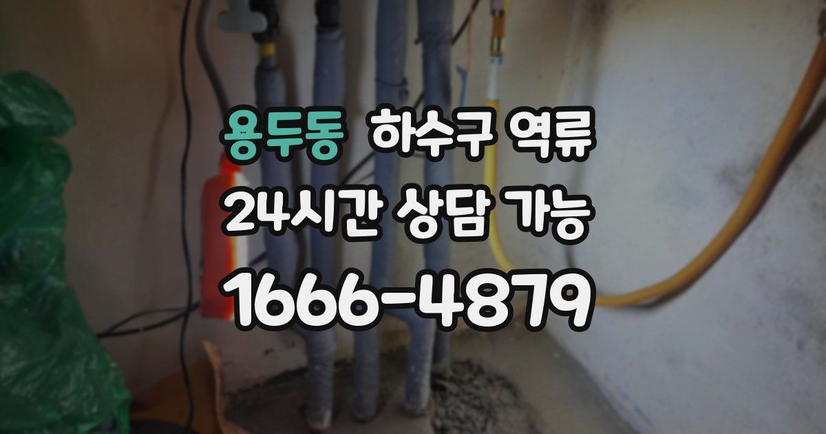 용두동 하수구 역류