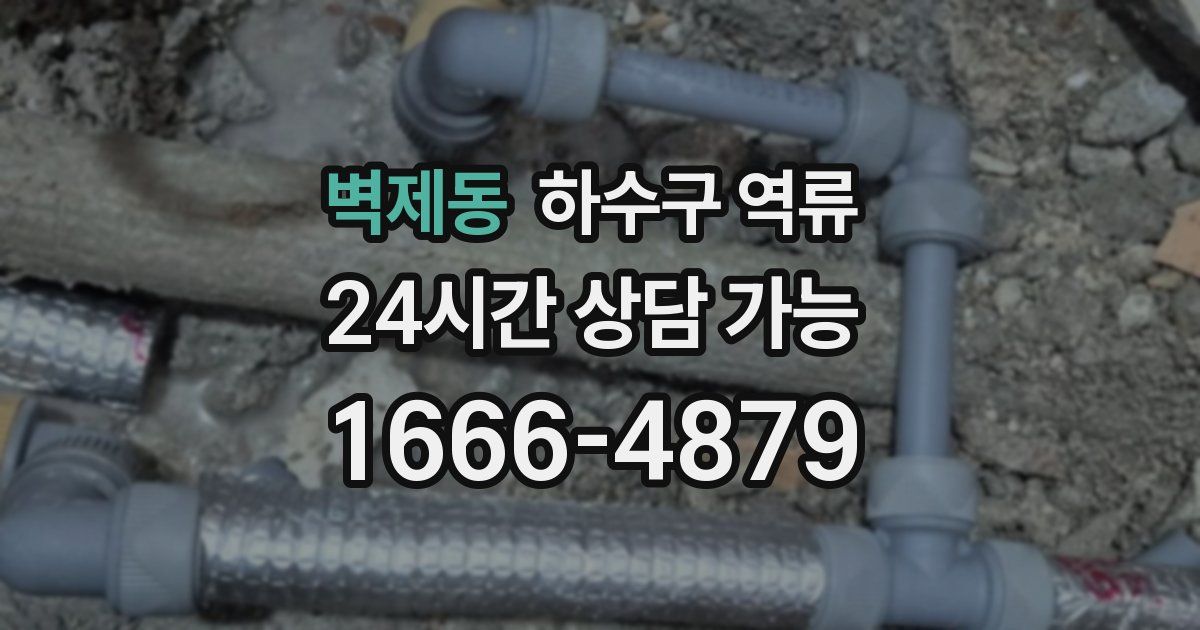 벽제동 하수구 역류