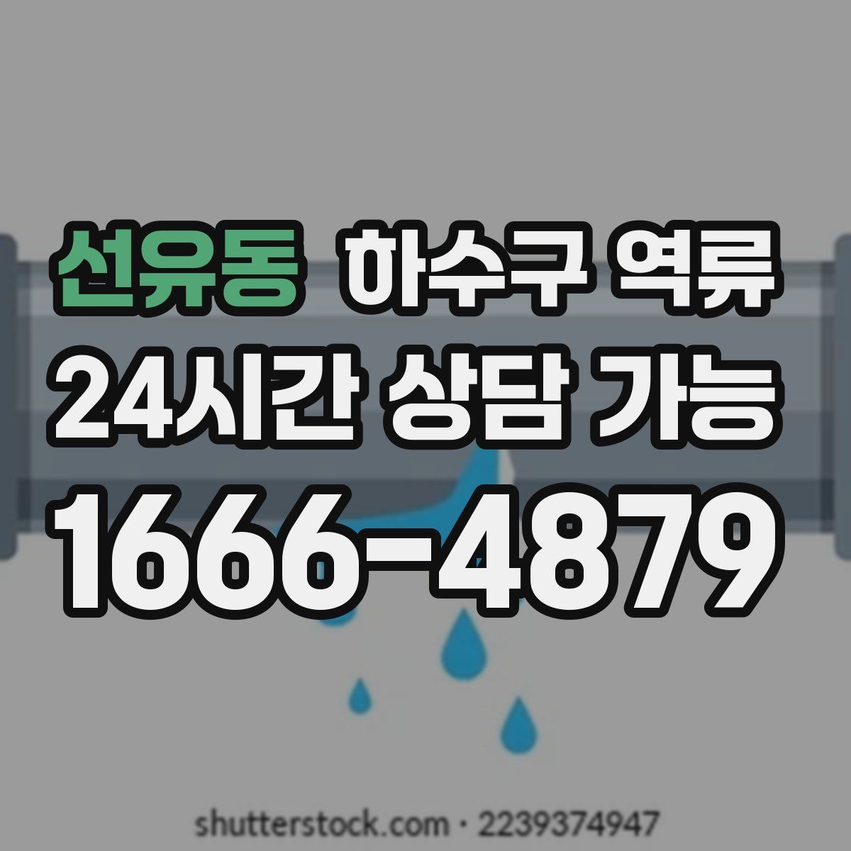 선유동 하수구 역류