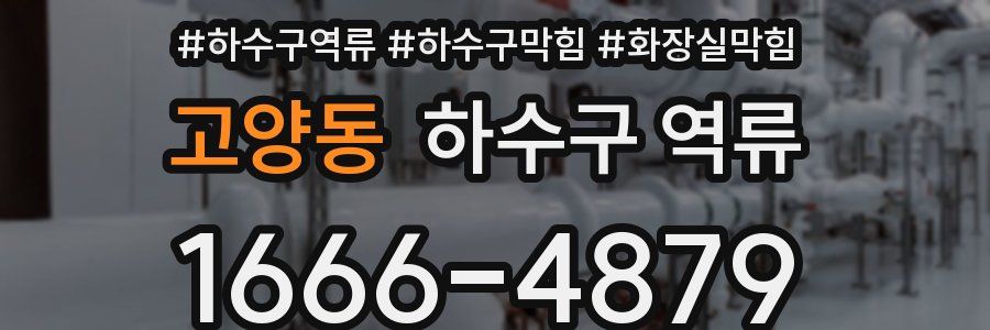 고양동 하수구 역류