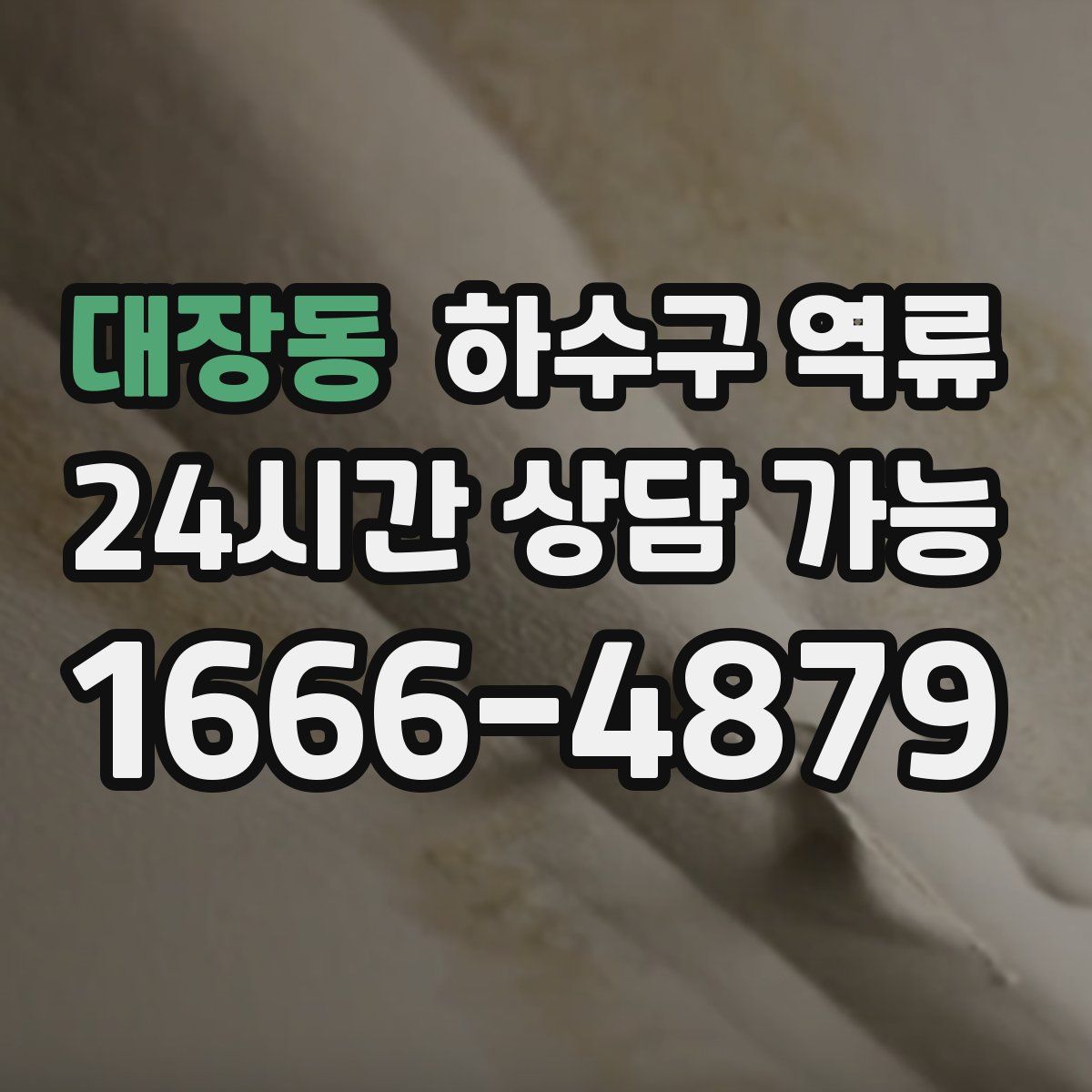 대장동 하수구 역류