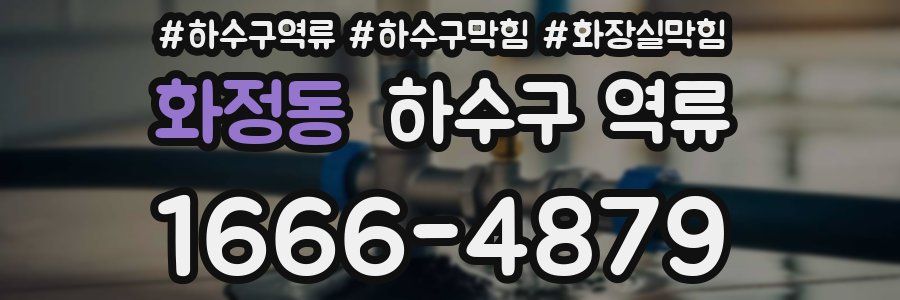 화정동 하수구 역류