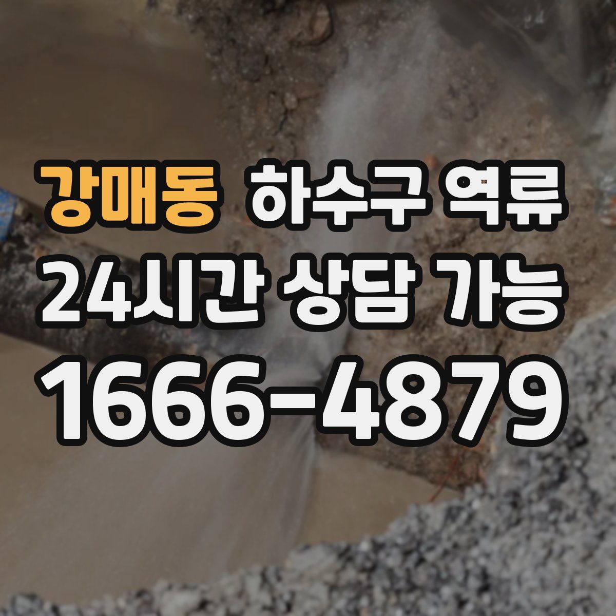 강매동 하수구 역류