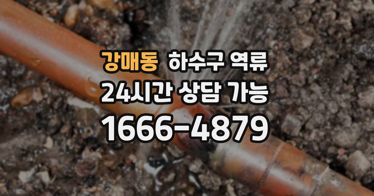 강매동 하수구 역류