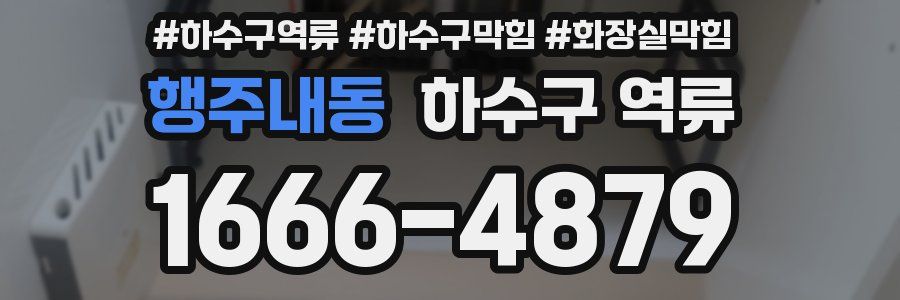 행주내동 하수구 역류