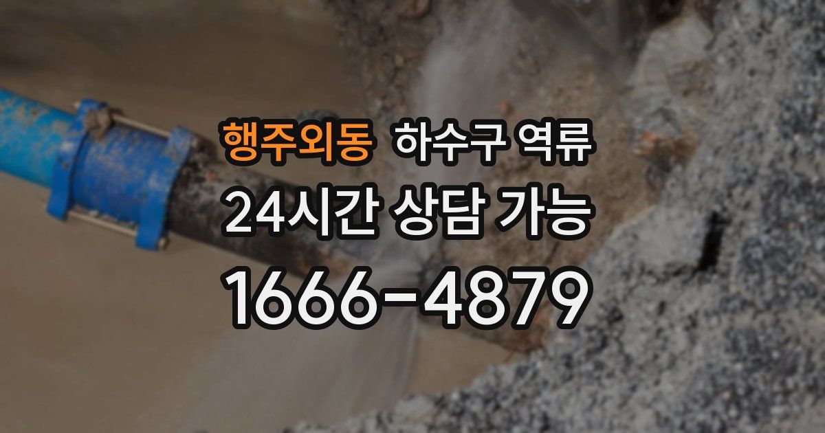 행주외동 하수구 역류